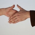 bachelor-ressources-humaines